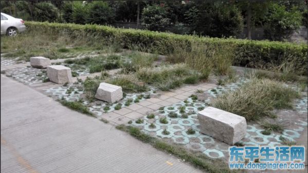 东平的物业都是想着办法挣钱,怎么不把服务质