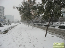 2009年东平的第一场大雪