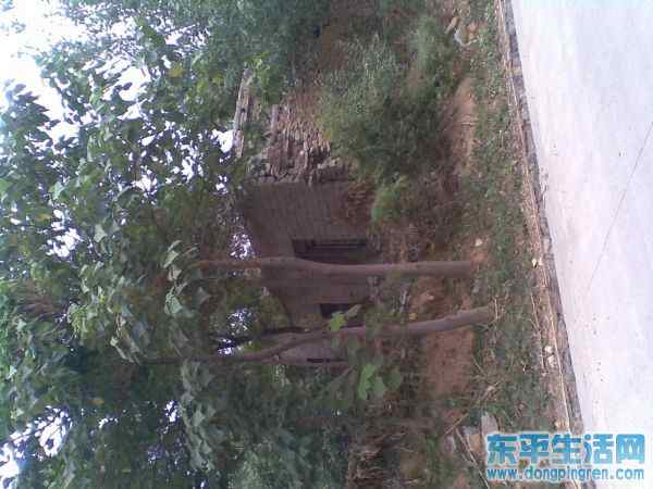 接山之旅 013.jpg