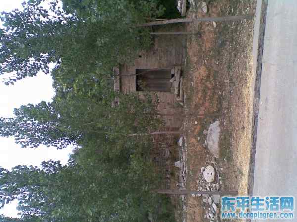 接山之旅 012.jpg