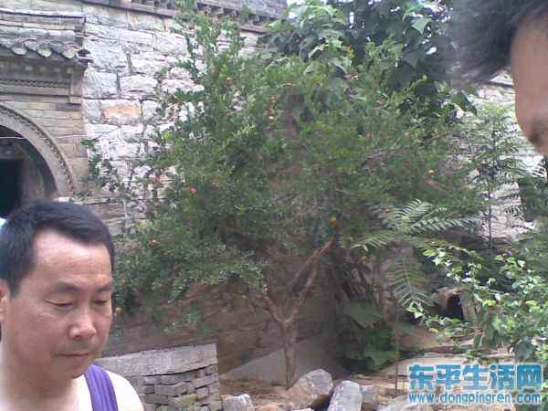 接山之旅 020.jpg