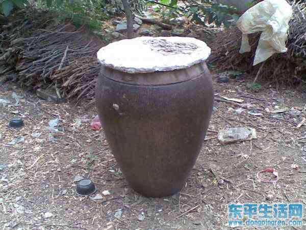 接山之旅 023.jpg