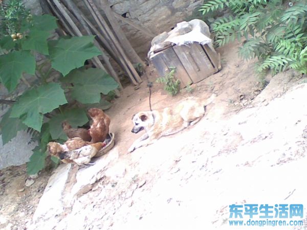 接山之旅 022.jpg