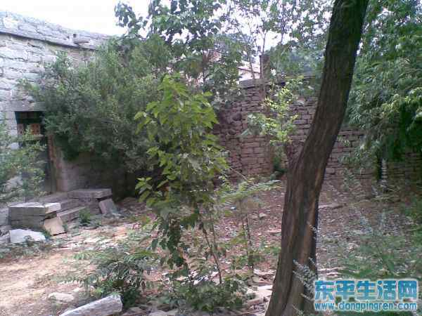 接山之旅 021.jpg