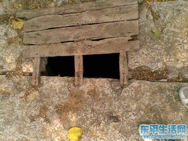 接山之旅 030.jpg