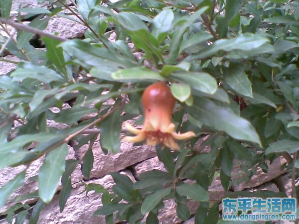 接山之旅 028.jpg