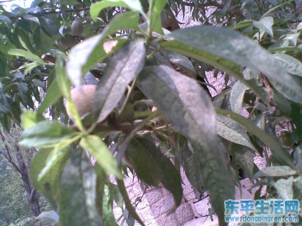 接山之旅 027.jpg