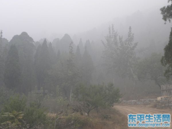 雾气笼罩的黄石悬崖