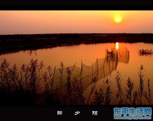 醉夕阳(1).jpg