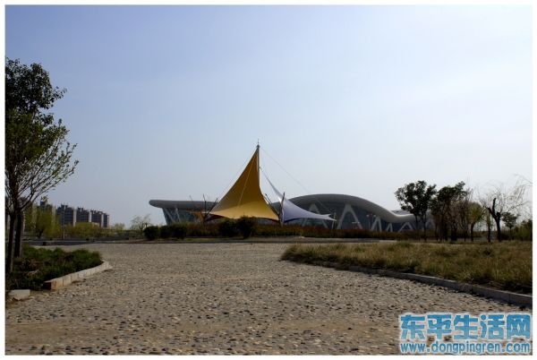 _DSC2603 - 副本.JPG