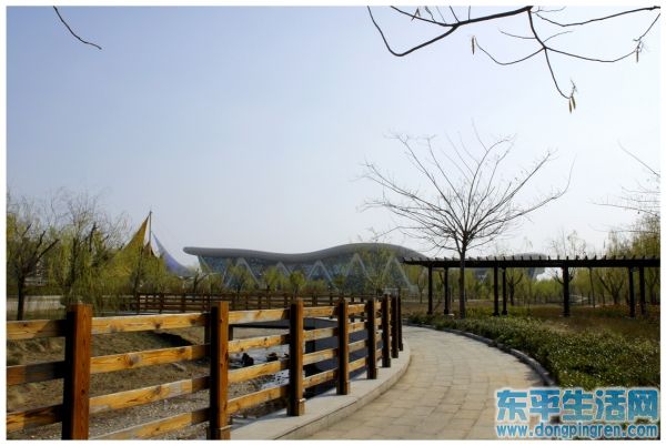 _DSC2606 - 副本.JPG