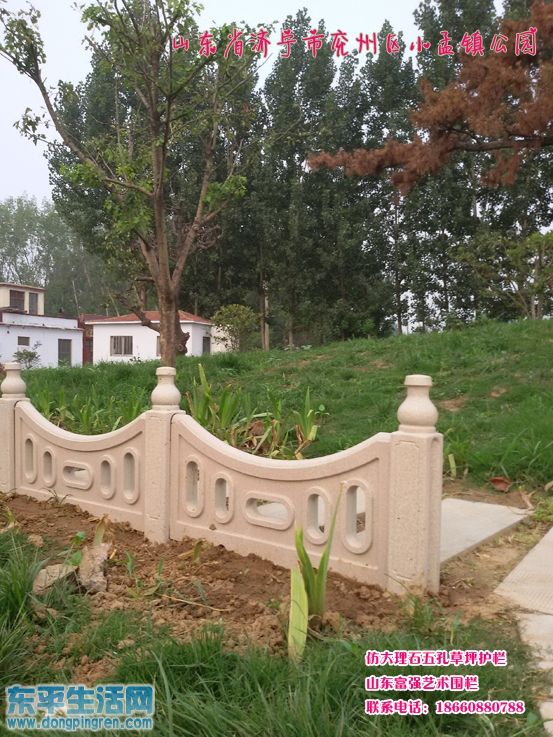 山东济宁兖州区小孟镇李堂村 (36).jpg