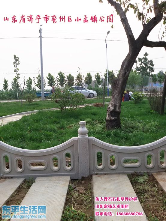 山东济宁兖州区小孟镇李堂村 (37).jpg