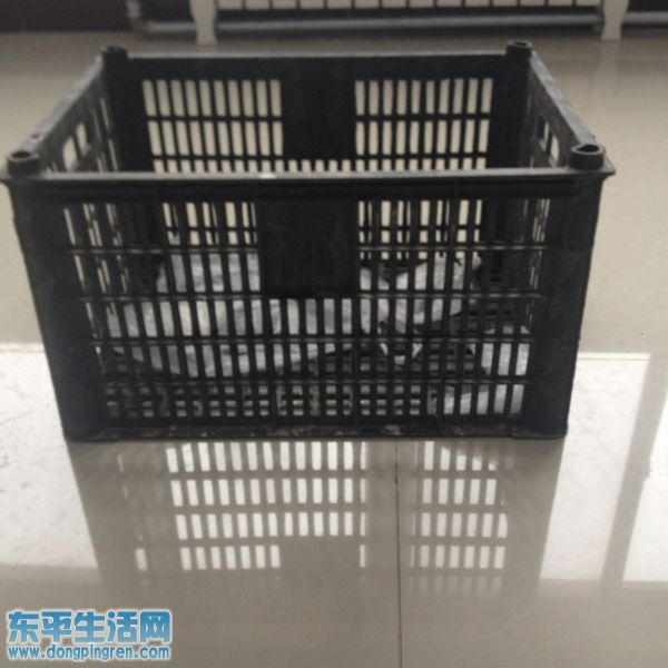 塑料周转筐.JPG