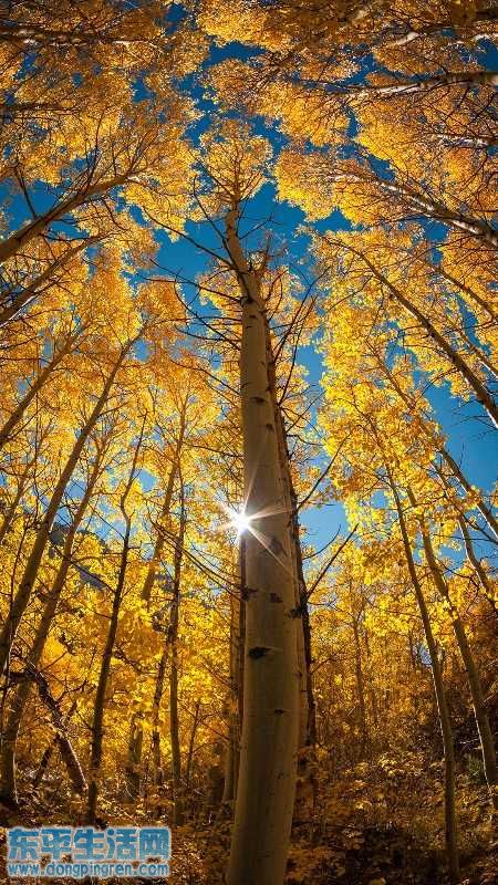 03 婕旂ず鍥剧墖.jpg