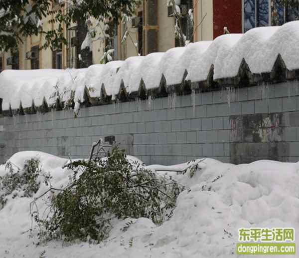 石家庄雪灾图片3.jpg