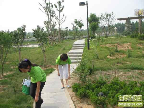 东平志愿者 (1).JPG