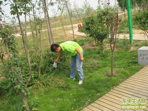 东平志愿者 (7).JPG