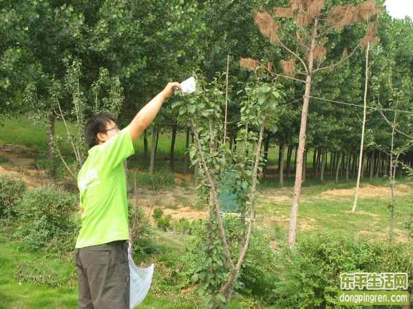 东平志愿者 (8).JPG