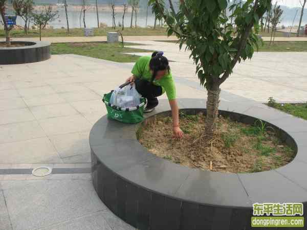 东平志愿者 (24).JPG