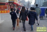 大千世界 无奇不有