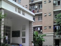 东平某单位宿舍楼下的垃圾箱 都把收垃圾的阿姨吓尿了