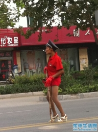 东平惊现红衣主教