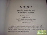 美国人编的学中文（牛逼）教材