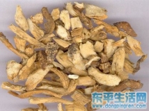 3、玉竹滋阴养肺