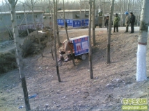 东平最牛的现实版“极品飞车”