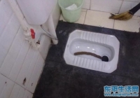 凤姐发贴！！！必属精品！！！标题要长！！