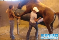 让人崩溃的工作