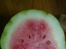 今年夏天的第一个西瓜悲剧了…