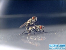 我靠，这车震偷拍的太鸡巴清晰了！