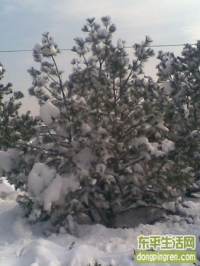 北京的第二场雪