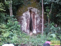 发几张神奇的图片,真实的