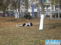 现在东平的女男太给力啦。。。