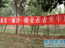 今年在地里焚烧小麦秸杆的可要小心了！