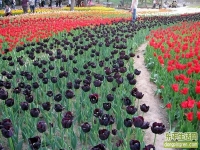 哇，好漂亮啊！！！！！！！！！！！！！！！