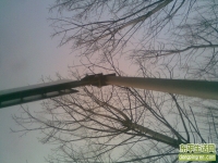 看我多爱家乡、尿尿都尿在东平境内