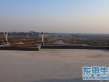 新老焦村照片看东平发展变化