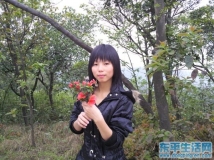 莲花山上的采花小姑娘