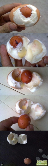 震惊！！蛋中蛋